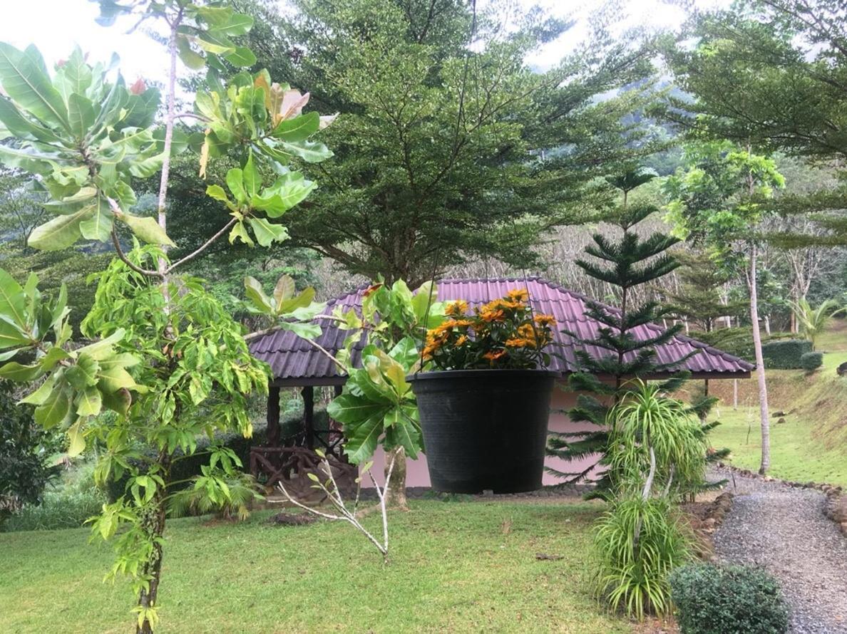 Khao Sok Hill Top Resort Khao Sok National Park Exterior photo